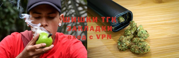 хмурый Бронницы