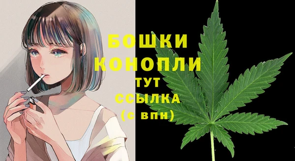 хмурый Бронницы
