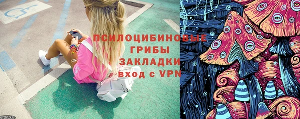 ГАЛЛЮЦИНОГЕННЫЕ ГРИБЫ Бородино