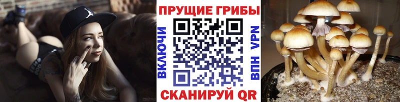 Галлюциногенные грибы мухоморы  Городец 